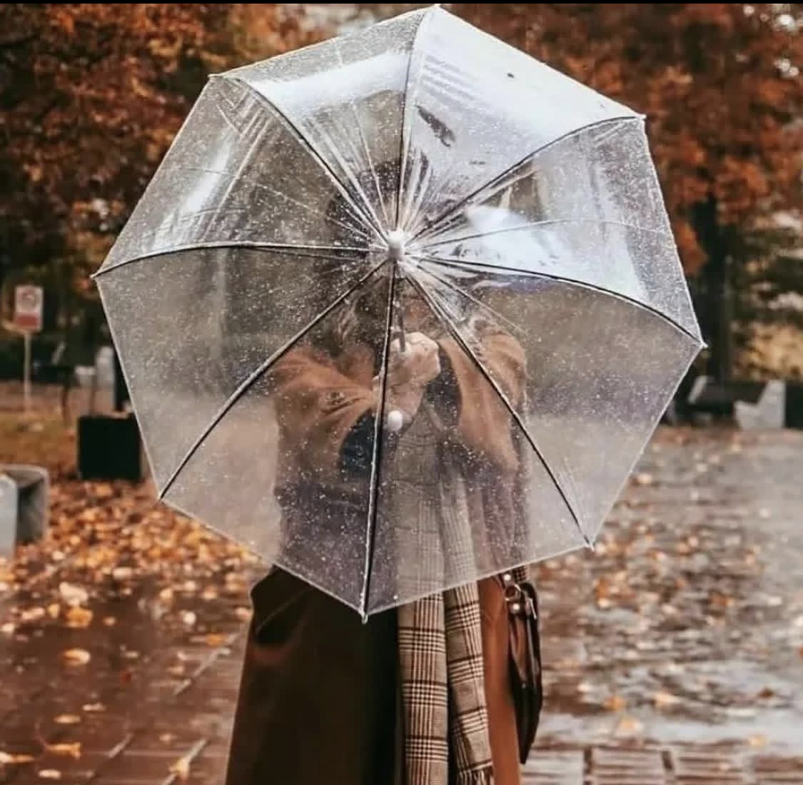 چتر شیشه ای تمام شفاف عصایی